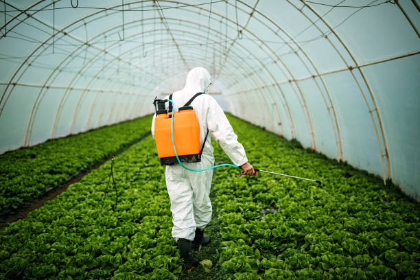 Best Pest Control for Restaurants  in Tarentum, PA