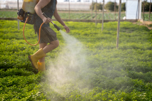 Professional Pest Control in Tarentum, PA