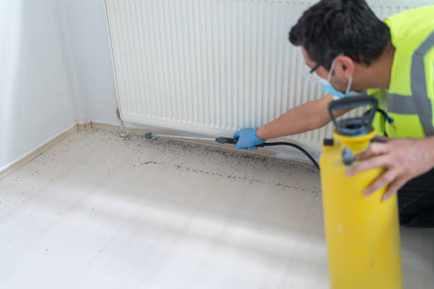 Wasp Removal Services in Tarentum, PA